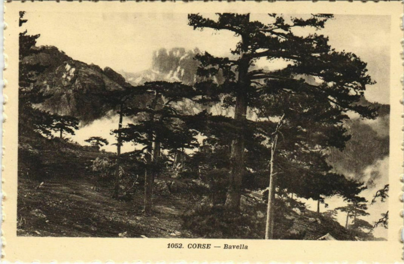 Carte postale ancienne Bavella Corsica - Corse