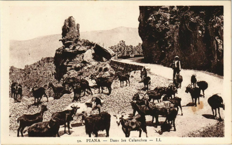 Carte postale ancienne Piana - Dans les Calanches Corsica - Corse à Piana