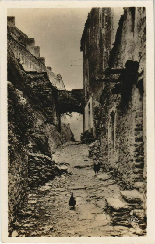 Carte postale ancienne Corte Vieille Rue Corsica à Corte