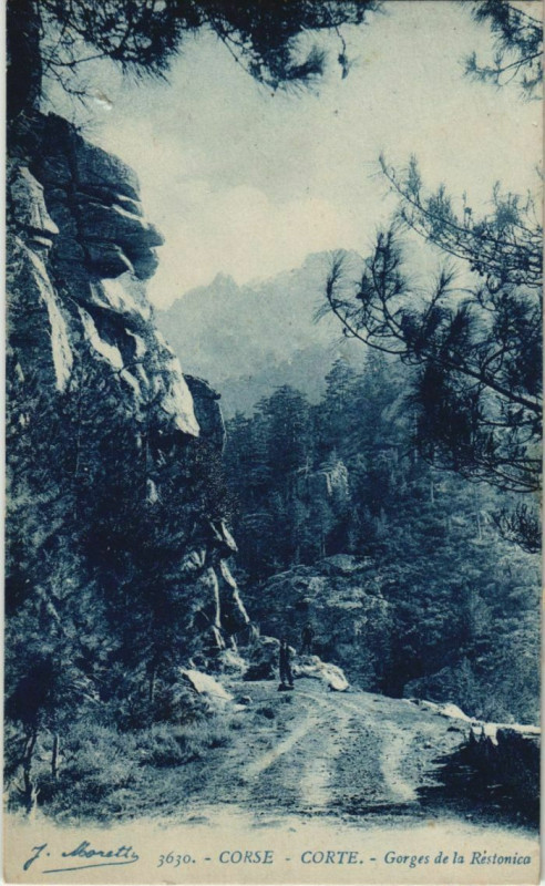 Carte postale ancienne Corte Gorges de la Restonica Corsica à Corte
