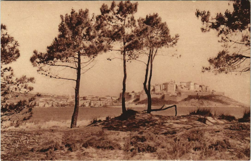Carte postale ancienne Calvi La Ville ,vue de Calvi Plage Corsica à Calvi