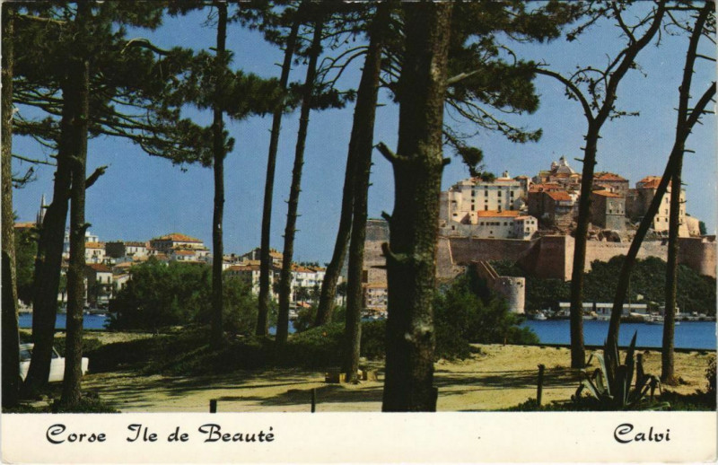 Carte postale ancienne Calvi La Pinede et la Ville Corsica à Calvi