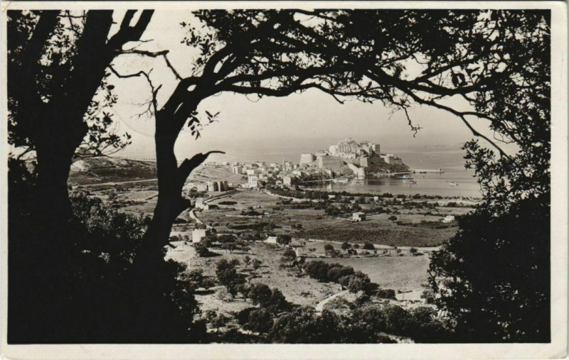 Carte postale ancienne Calvi vue prise entre les Oliviers Corsica à Calvi