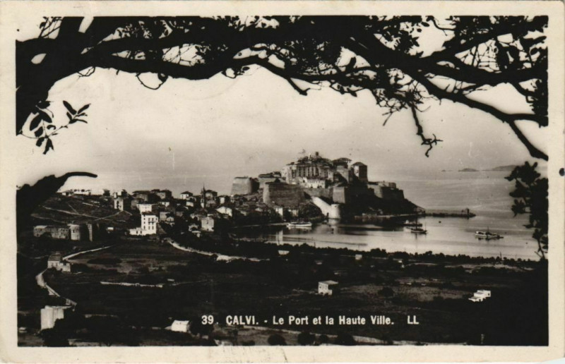 Carte postale ancienne Calvi Le Port et la Haute Ville Corsica à Calvi