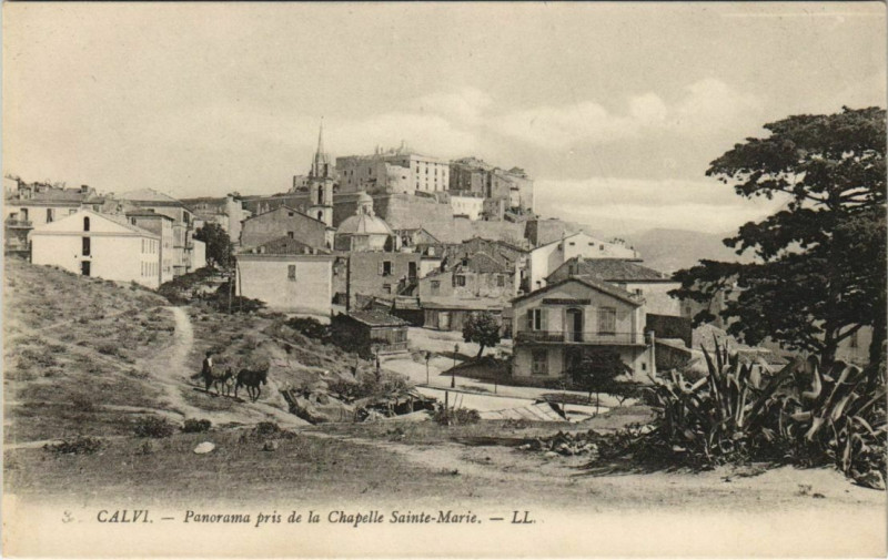 Carte postale ancienne Calvi Panorama Corsica à Calvi