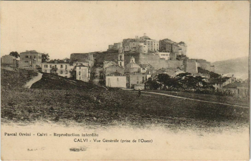 Carte postale ancienne Calvi vue generale Corsica à Calvi