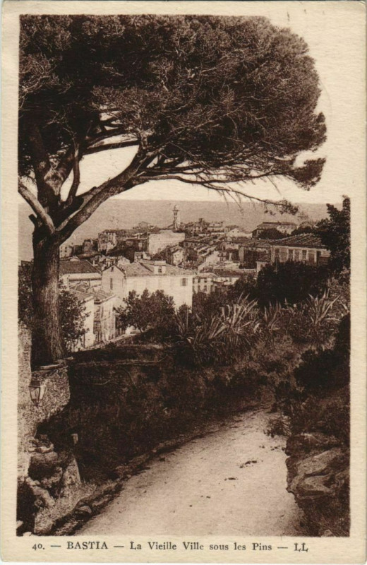 Carte postale ancienne Bastia La Vieille Ville sous les Pins Corsica à Bastia