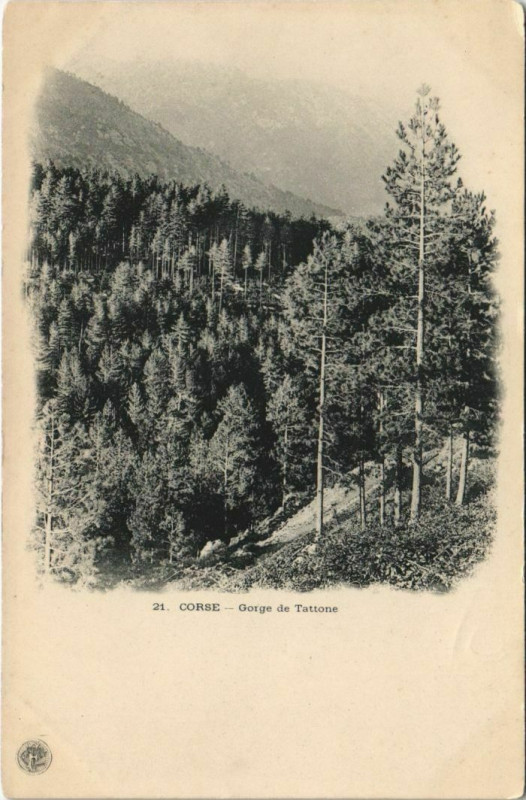 Carte postale ancienne Gorge de Tattone Corsica - Corse