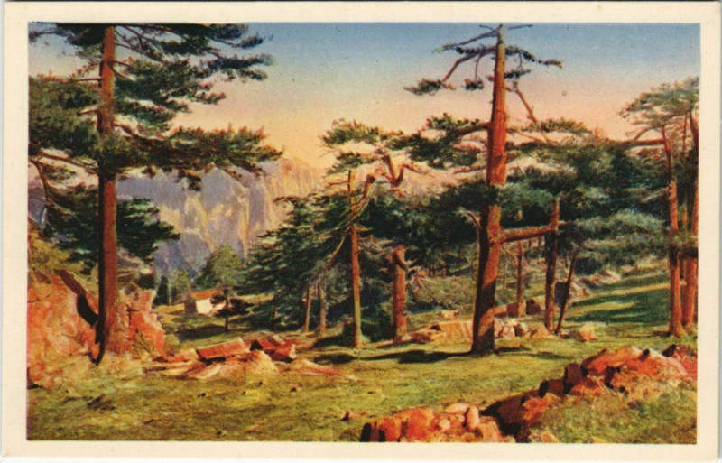 Carte postale ancienne Bavella Corsica - Corse