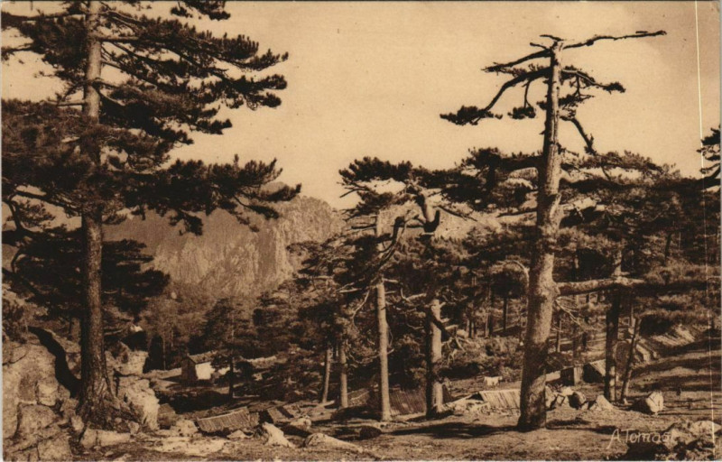 Carte postale ancienne Col de Bavella Corsica - Corse