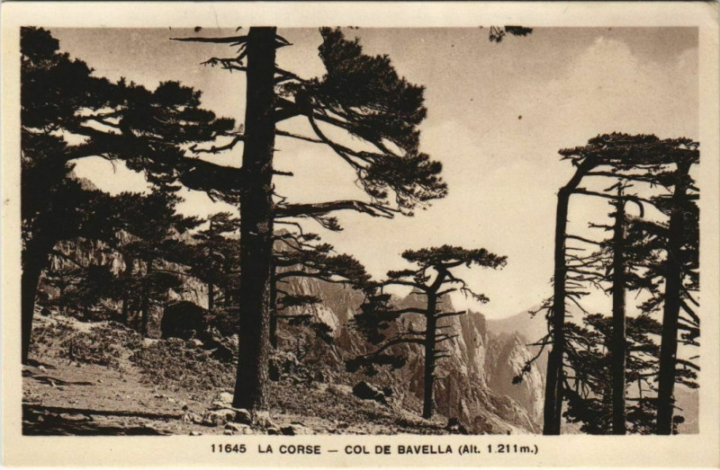 Carte postale ancienne Col de Bavella Corsica - Corse