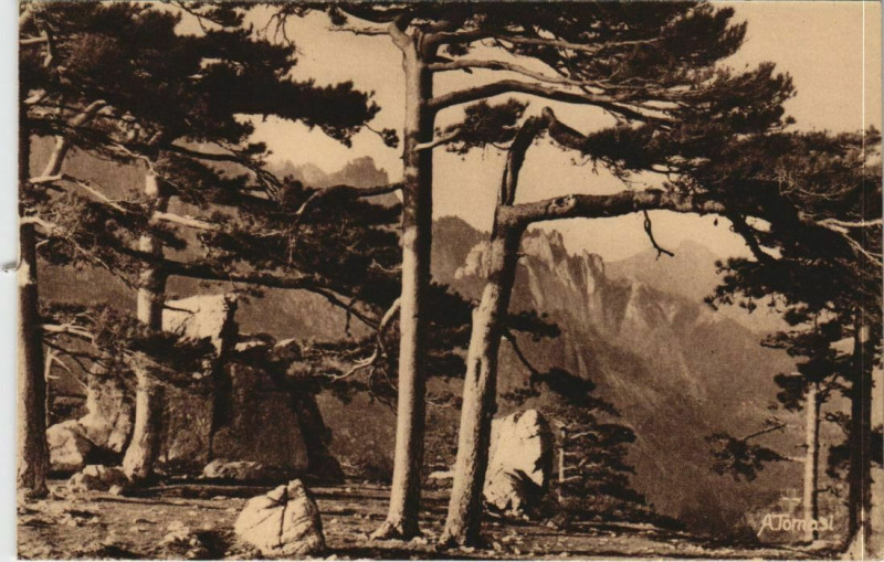 Carte postale ancienne Col de Bavella Corsica - Corse
