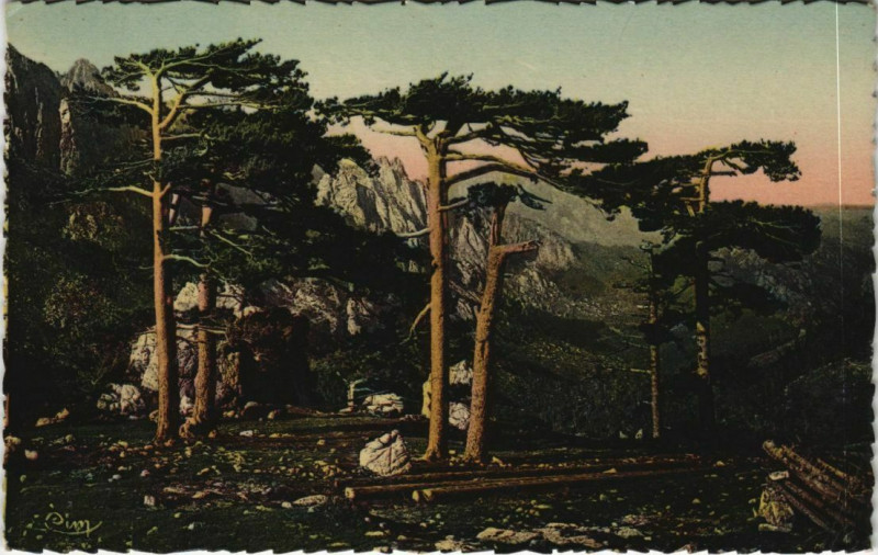 Carte postale ancienne Col de Bavella Corsica - Corse