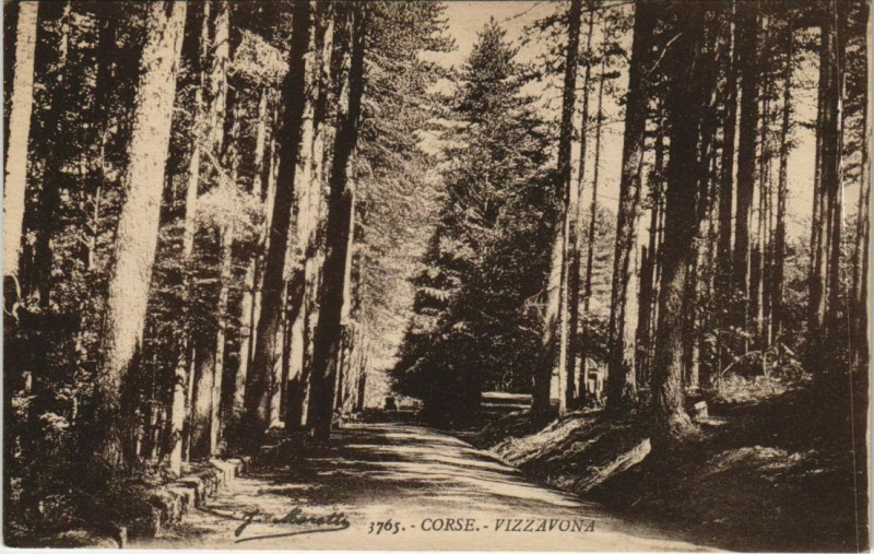 Carte postale ancienne Vizzavona - Foret Corsica - Corse