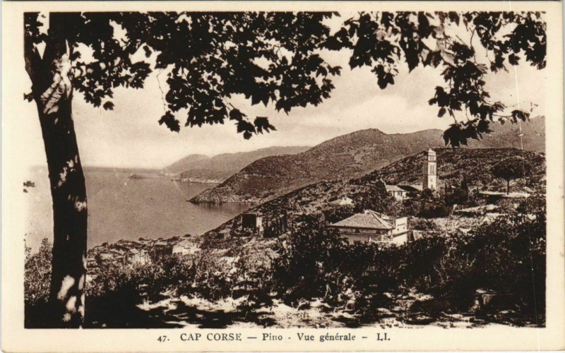 Carte postale ancienne Pino - Cap Corse - Vue Generale Corsica - Corse à Pino