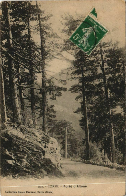 Carte postale ancienne Foret d'Aitone Corsica - Corse
