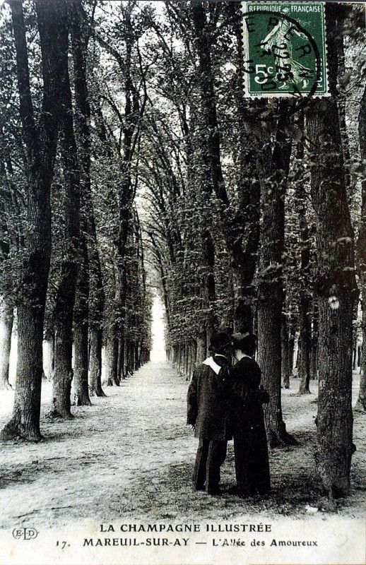 Carte postale ancienne Le jard Mareuil