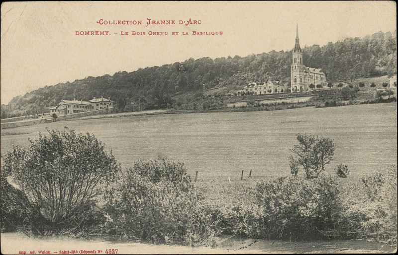 Carte postale ancienne Domrémy, Le Bois chenu et la Basilique Cp 5484 Pr