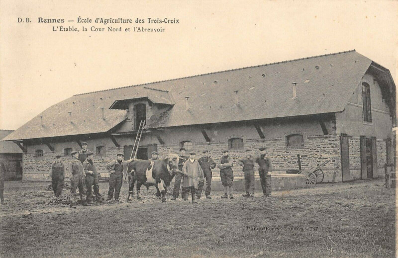 Carte postale ancienne Rennes Ecole D'Agriculture Des Trois Croix L'Etable à Rennes