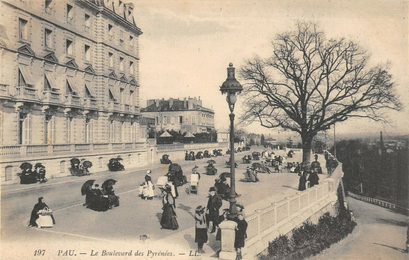 Carte postale ancienne Pau Le Boulevard Des Pyrenees à Pau