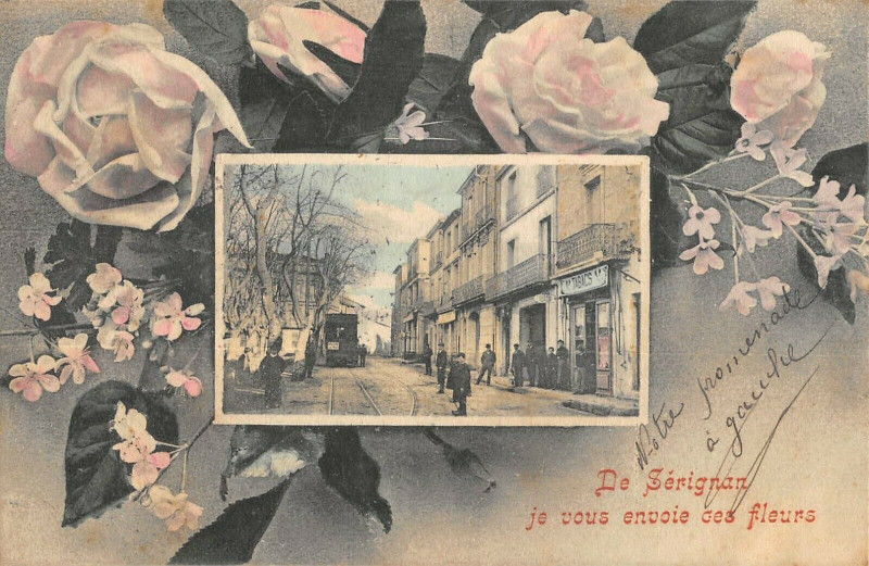 Carte postale ancienne De Serignan Je Vous Envoie Ces Fleurs à Sérignan