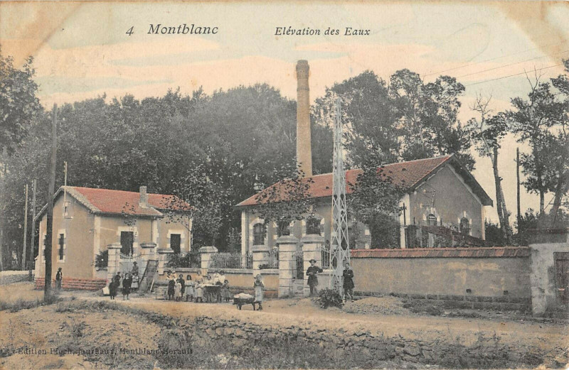 Carte postale ancienne Beziers Le Marche Aux Bestiaux à Béziers