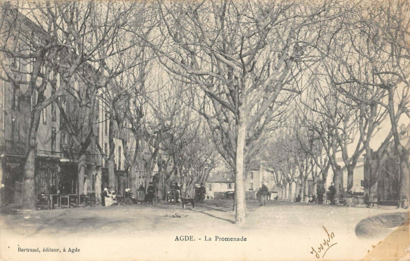 Carte postale ancienne Agde La Promenade à Agde
