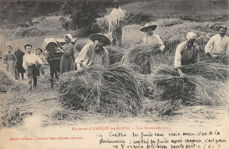 Carte postale ancienne Environs D'Amelie Les Bains Les Moissonneurs à Ur