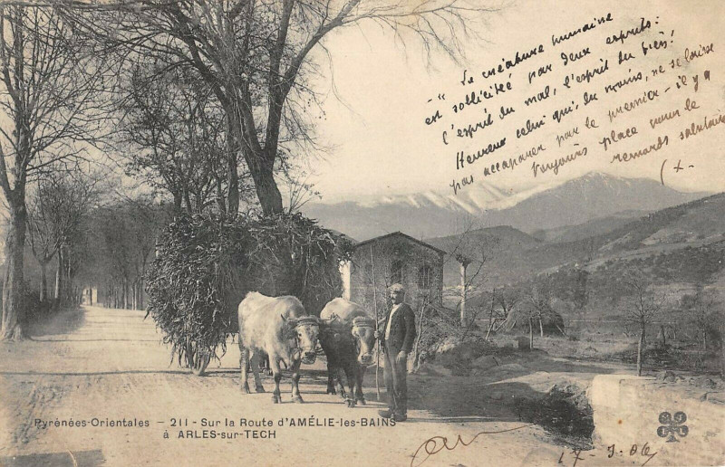 Carte postale ancienne Sur La Route D'Amelie Les Bains A Arles Sur Tech à Arles-sur-Tech