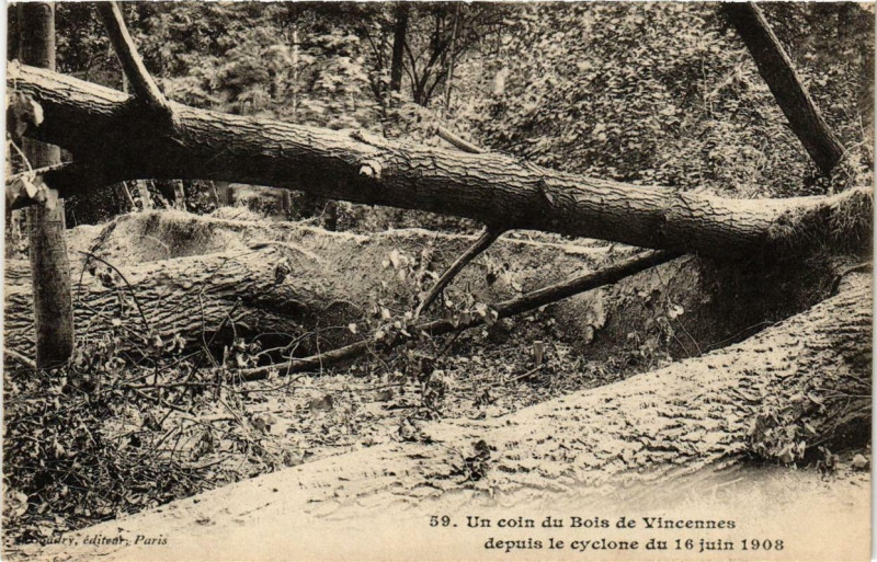 Carte postale ancienne Paris 12e Bois de Vincennes Cyclone du 16 juin 1908 à Paris 12e
