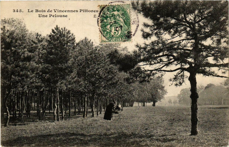 Carte postale ancienne Paris 12e Le Bois de Vincennes Pittoresque Une Pelouse à Paris 12e
