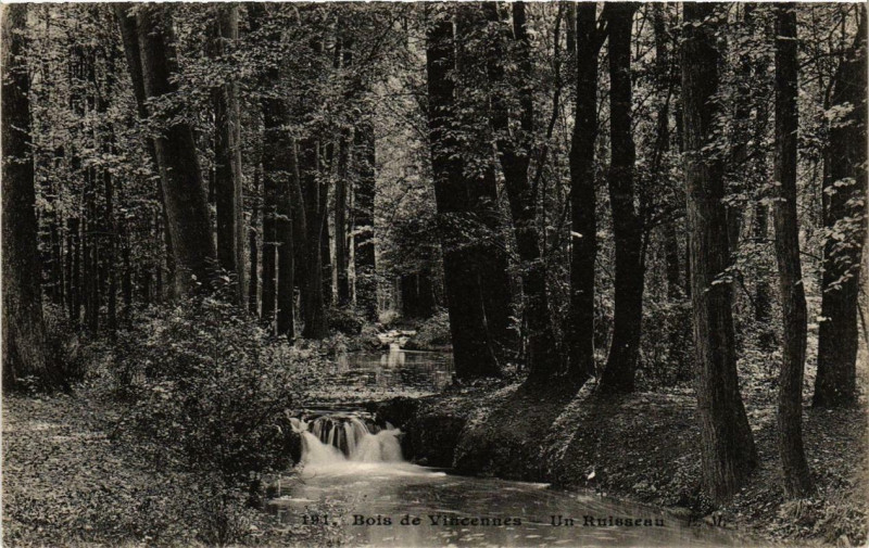 Carte postale ancienne Paris 12e Bois de Vincennes Un Ruisseau à Paris 12e