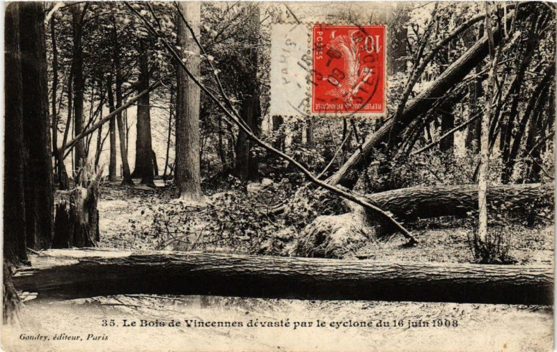 Carte postale ancienne Paris 12e Le Bois de Vincennes dévasté par le cyclone 1908 à Paris 12e