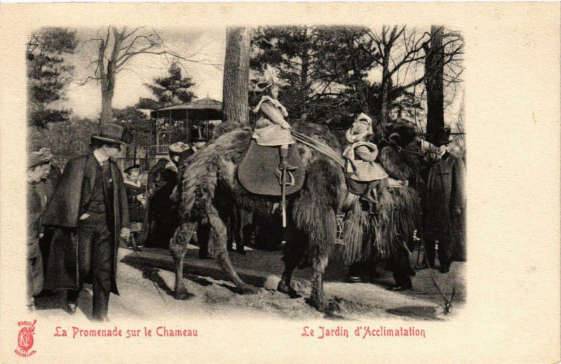 Carte postale ancienne Le Jardin d'Acclimatation - La Promenade sur le Chameau à Neuilly-sur-Seine