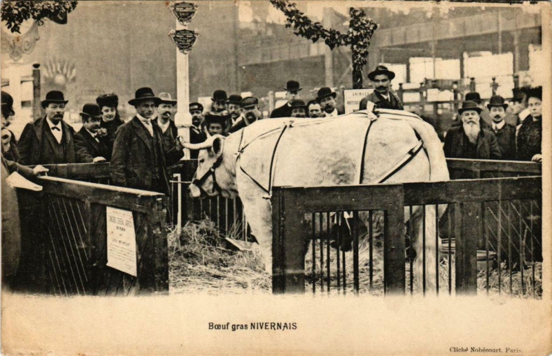 Carte postale ancienne Boeuf gras Nivernais à Paris 19e