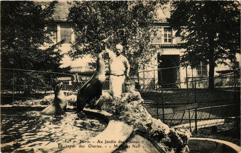 Carte postale ancienne Paris 5e Au Jardin des Plantes Le repas des Otaries à Paris 5e