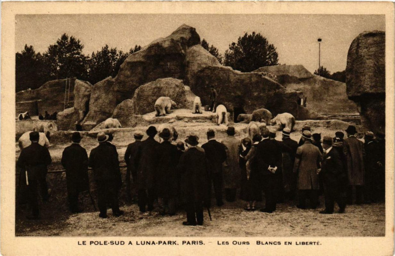 Carte postale ancienne Le Pole-Sud a Luna-Park - Les Ours Blancs en liberté à Paris 17e