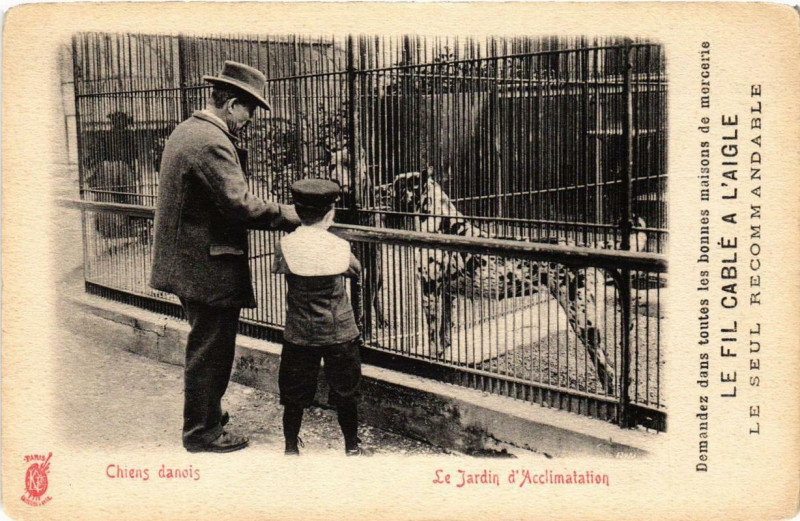Carte postale ancienne Le Jardin d'Acclimatation - Chiens danois à Paris