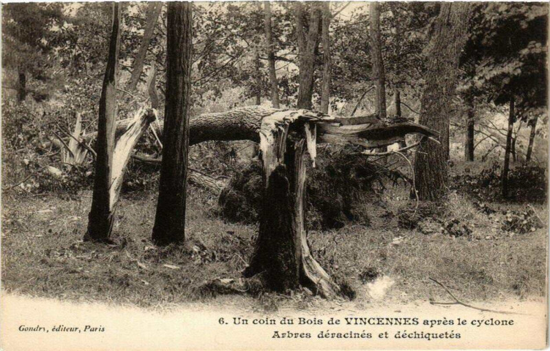 Carte postale ancienne Paris 12e Bois de Vincennes Cyclone du 16 juin 1908 Un coin à Paris 12e