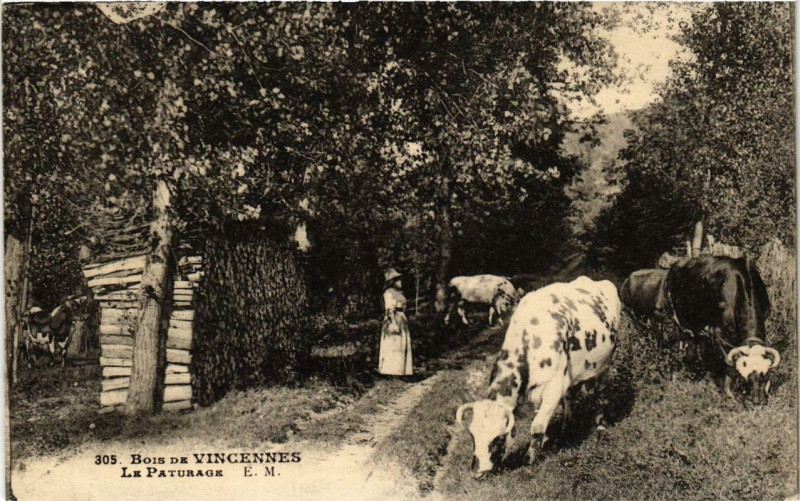 Carte postale ancienne Paris 12e Bois de Vincennes Le Paturage à Paris 12e