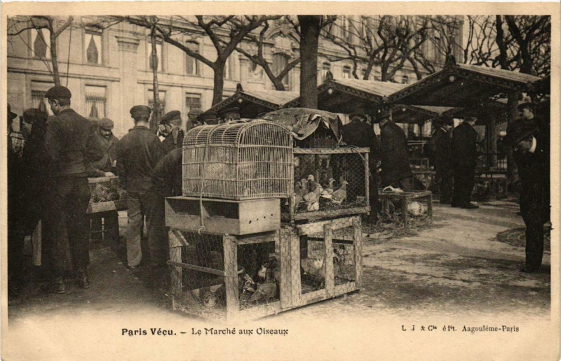Carte postale ancienne Paris Vécu. Le Marché aux Oiseaux à Paris
