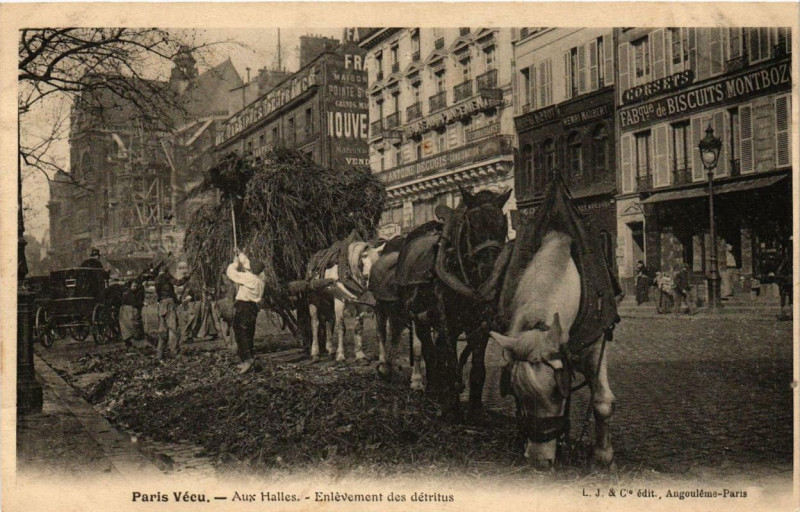 Carte postale ancienne Paris Vécu. Aux Halles. Enlevement des détritus à Paris