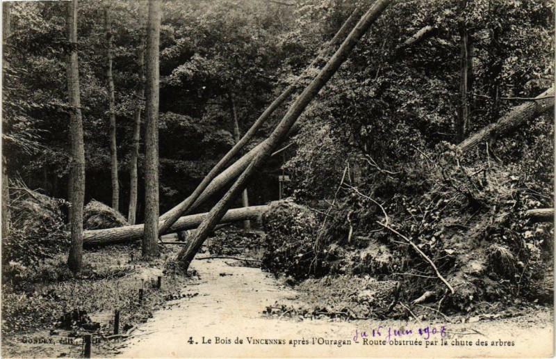 Carte postale ancienne Paris 12e Le Bois de Vincennes apres l'Ouragan Route à Paris 12e
