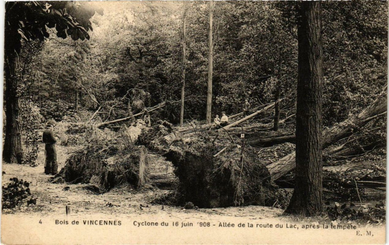 Carte postale ancienne Bois de Vincennes - Cyclone du 16 juin 1908 - Allée de la route du Lac, après la tempête à Paris 12e