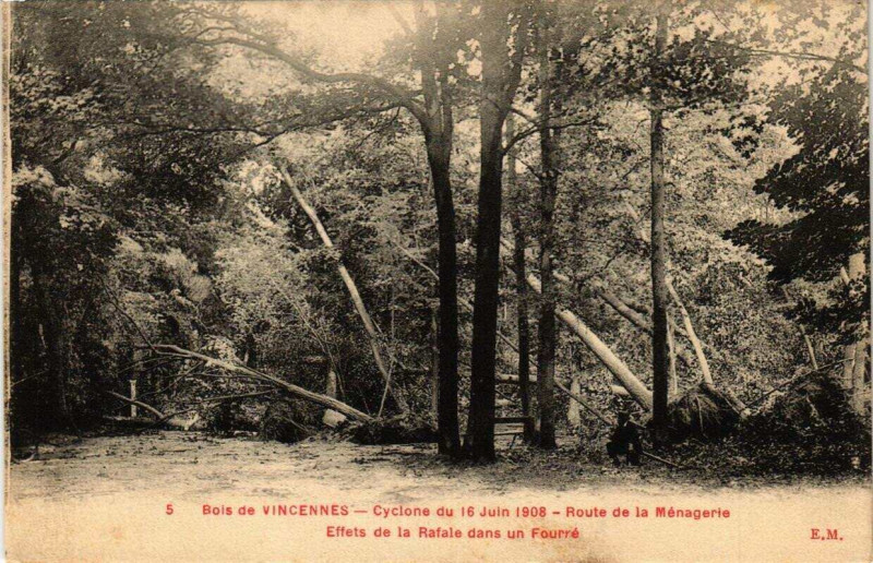 Carte postale ancienne Bois de Vincennes - Cyclone du 16 juin 1908 - Route de la Ménagerie - Effets de la Rafale dans un Fourré à Nogent-sur-Marne