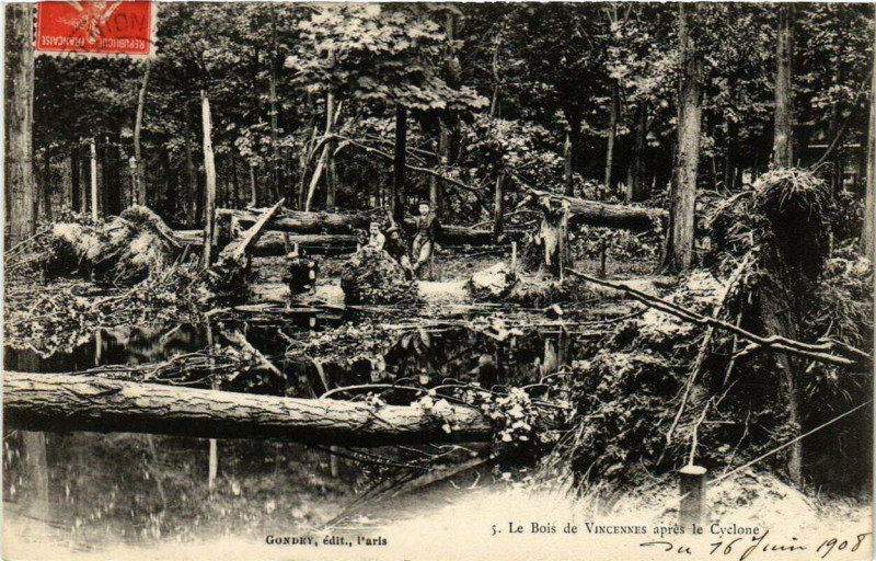 Carte postale ancienne Paris 12e Le Bois de Vincennes apres le Cyclone à Paris 12e