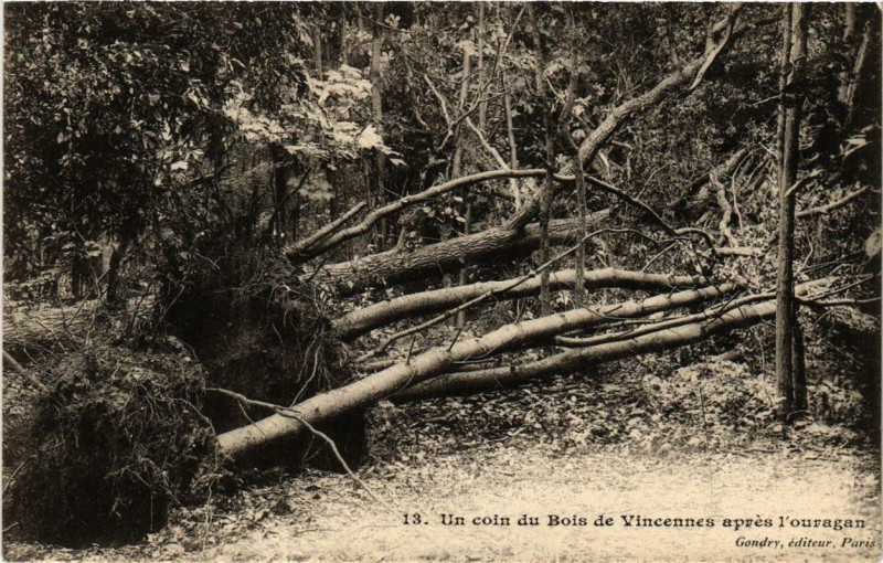 Carte postale ancienne Paris 12e Bois de Vincennes Cyclone du 16 juin 1908 Un coin à Paris 12e