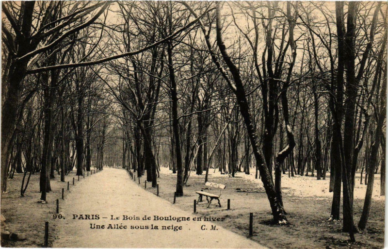 Carte postale ancienne Le Bois de Boulogne en hiver - Une Allée sous la neige à Paris 16e
