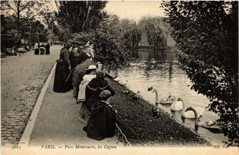 Carte postale ancienne Parc Montsouris, les Cygnes à Paris 14e