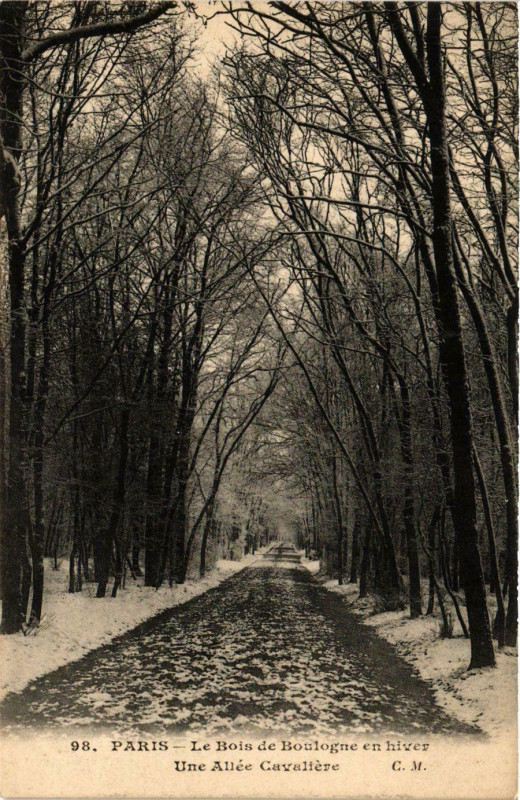 Carte postale ancienne Le Bois de Boulogne en hiver - Une Allée Cavalière à Paris 16e